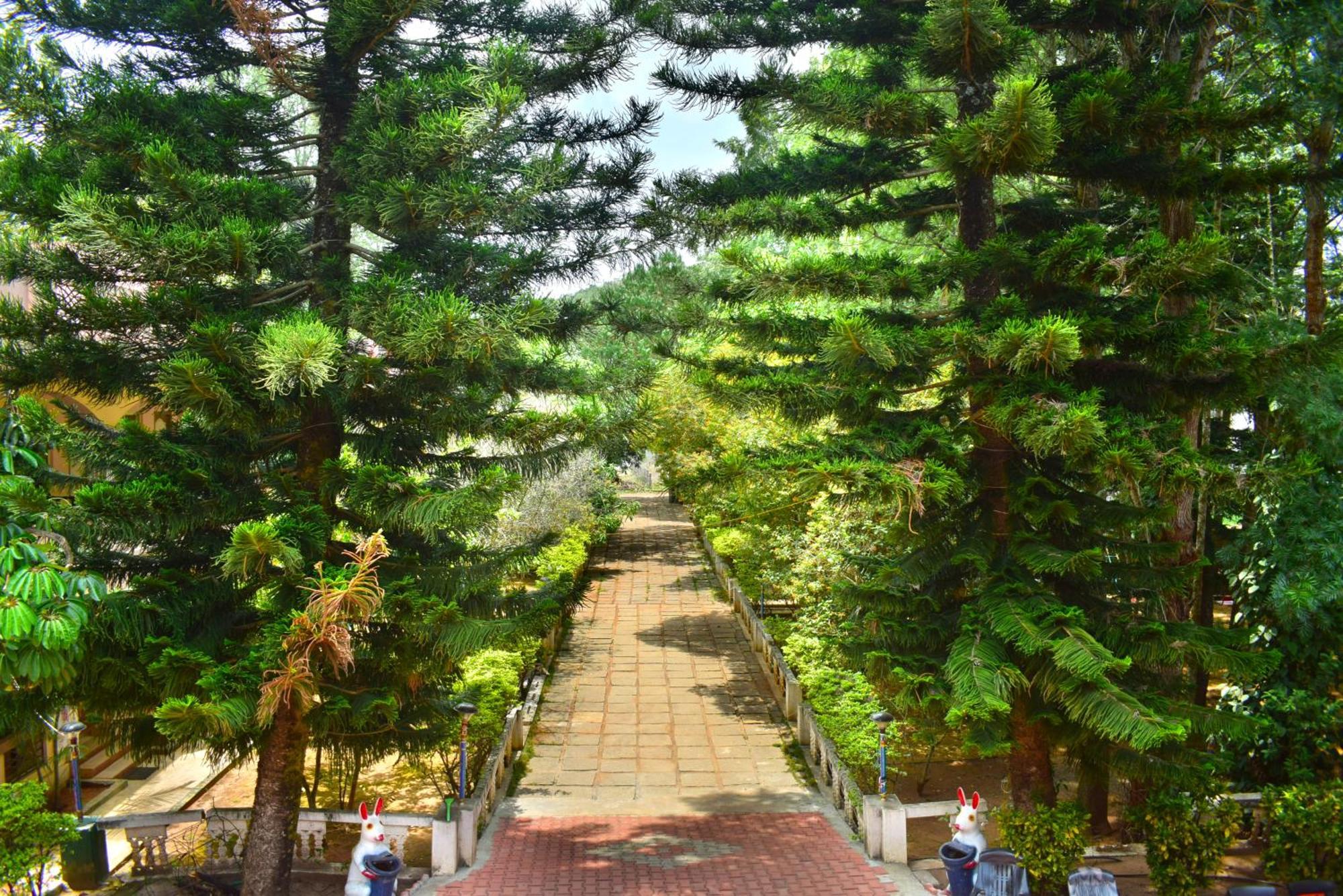 ييلاجيري Jains Royal Palace Resorts المظهر الخارجي الصورة